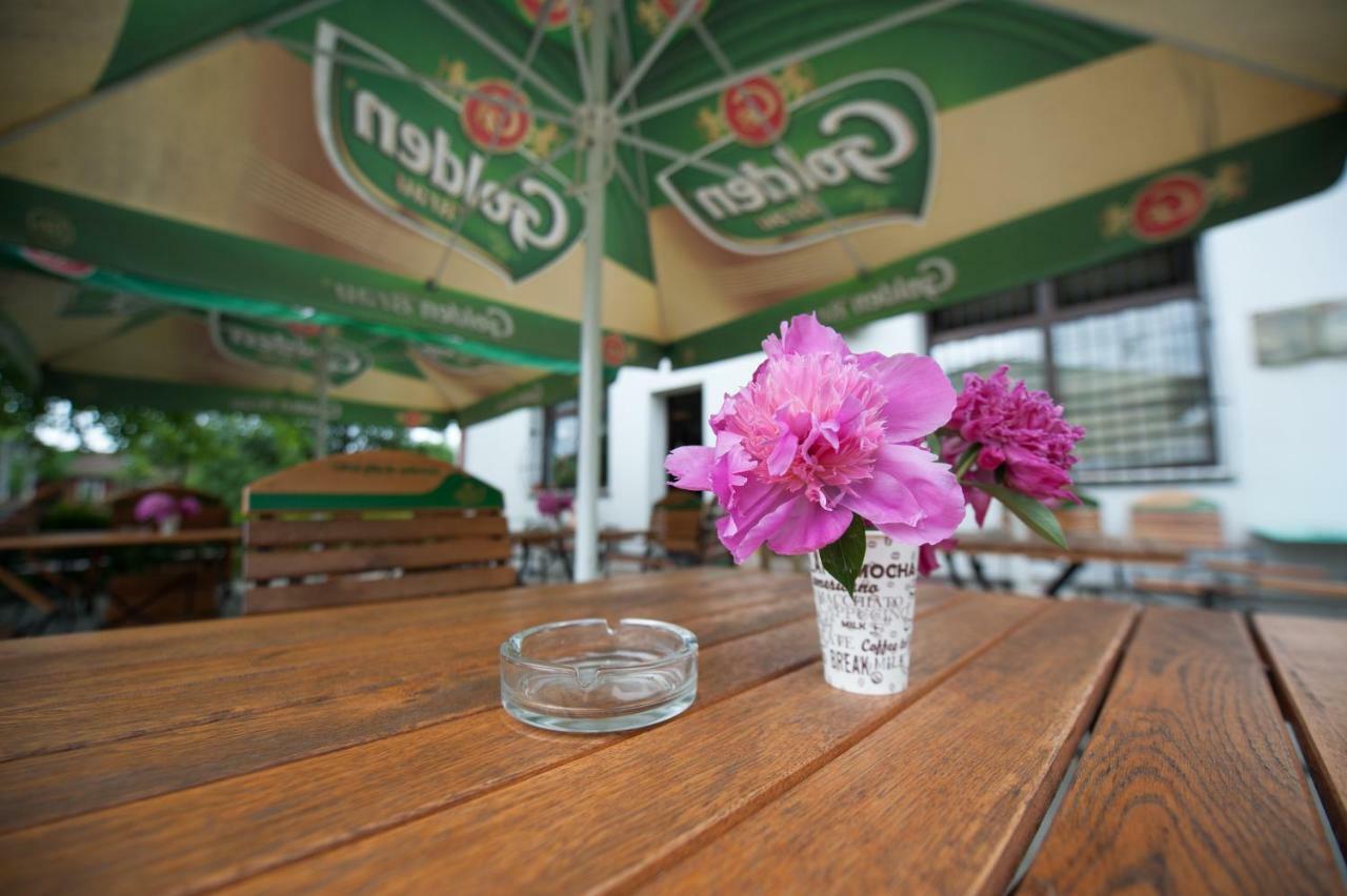 Pension Florica ピテシュティ エクステリア 写真