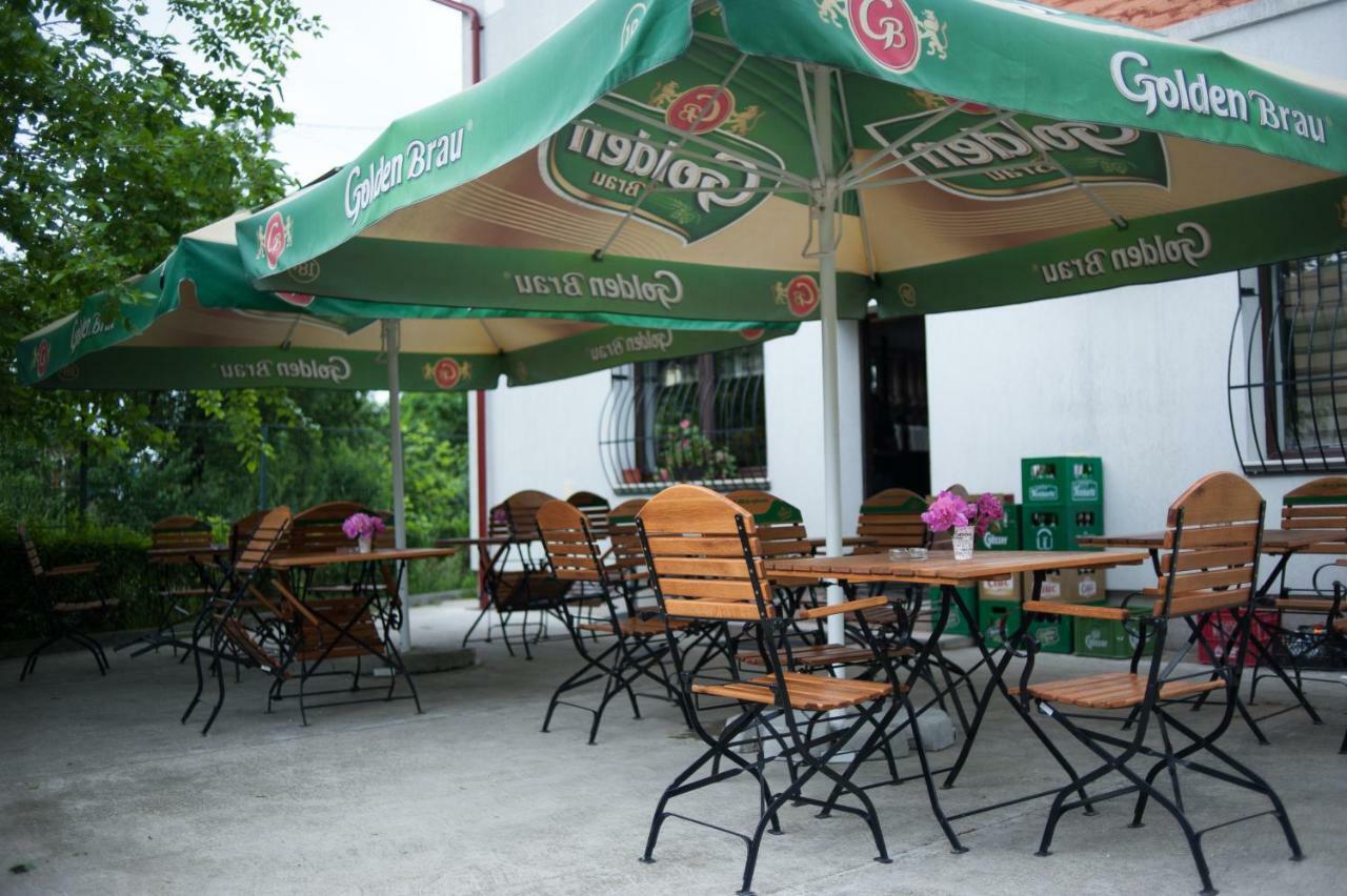 Pension Florica ピテシュティ エクステリア 写真
