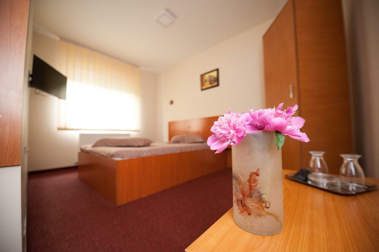 Pension Florica ピテシュティ エクステリア 写真